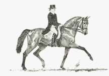Horse hauling throughout Europe, Canada, and the U.S.