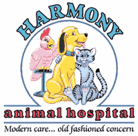 Fun web site about medical care for all pets