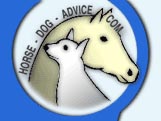 Answers to your horse and dog questions
