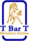 T Bar T Horse Farm, Pasadena, Texas
